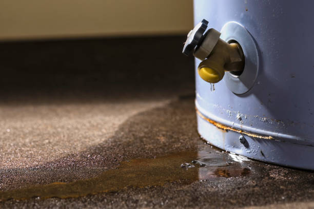 Best Fire Damage Restoration  in Irwin, SC