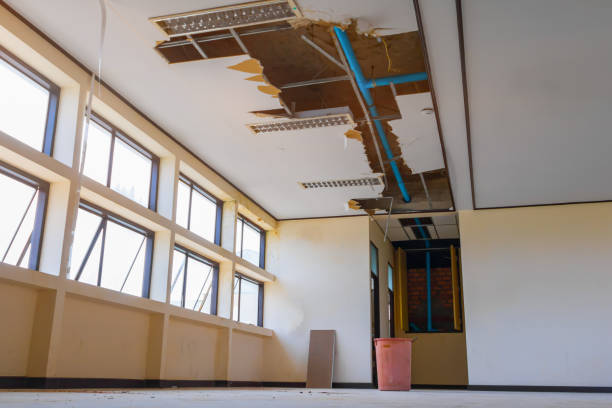 Best Basement water damage restoration  in Irwin, SC