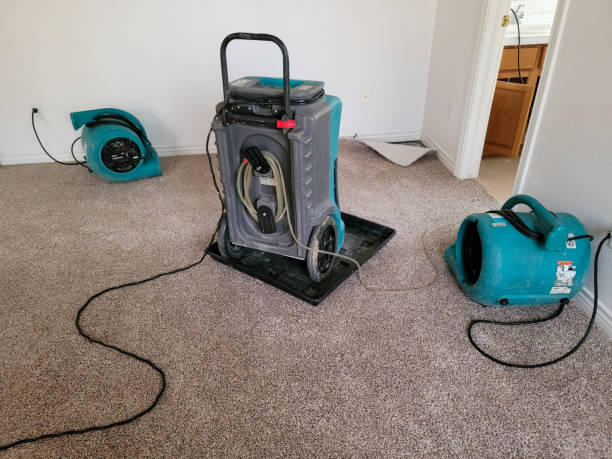 Best Water damage restoration near me  in Irwin, SC