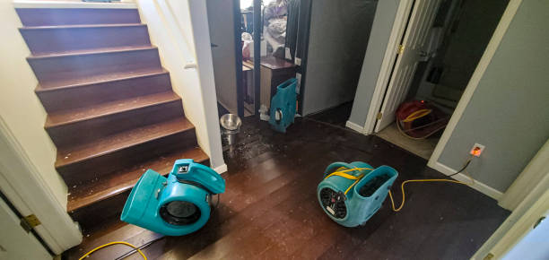 Best Ceiling water damage repair  in Irwin, SC