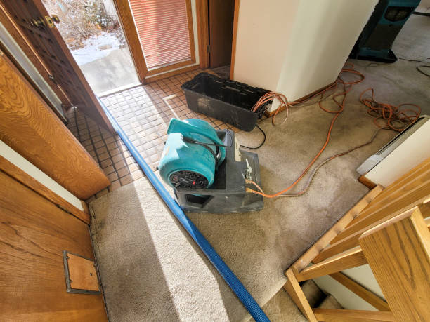 Professional Water damage restoration in Irwin, SC