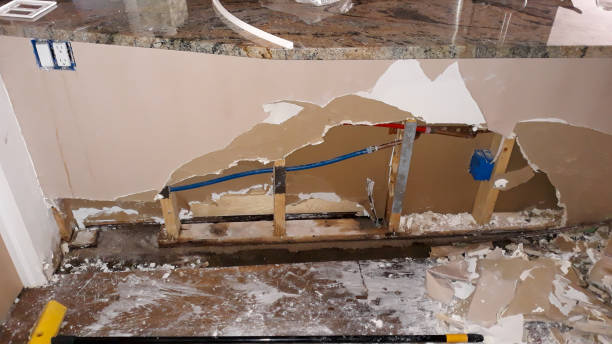 Best Flooded house restoration  in Irwin, SC