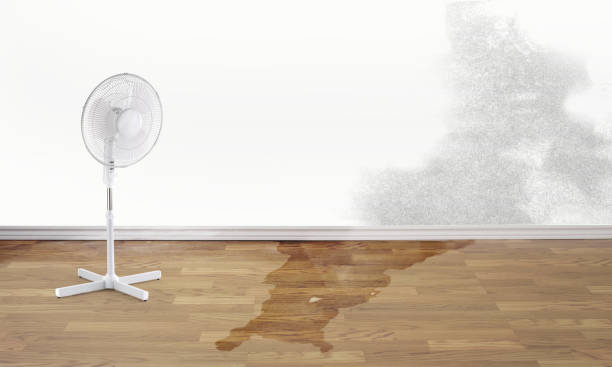 Best Fire Damage Restoration  in Irwin, SC
