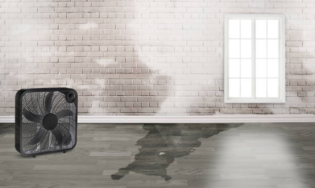 Best Sewage cleanup and water damage restoration  in Irwin, SC