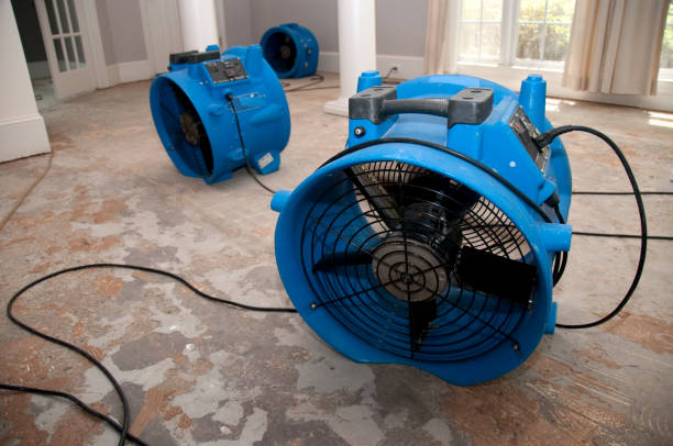 Best 24/7 water damage repair  in Irwin, SC