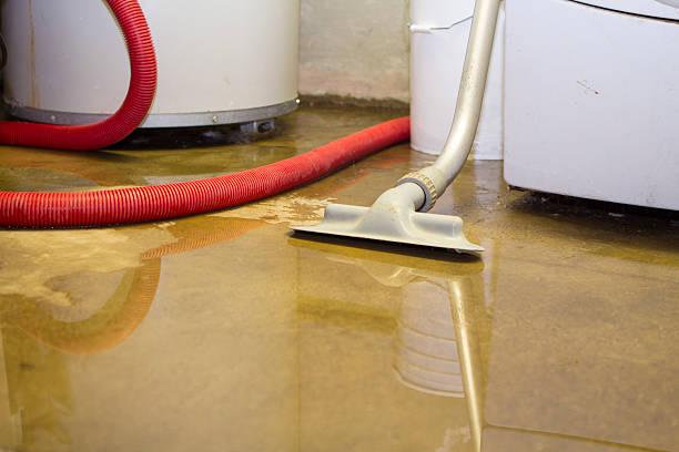 Water damage restoration experts in Irwin, SC