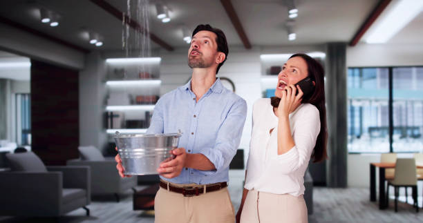 Best Basement water damage restoration  in Irwin, SC