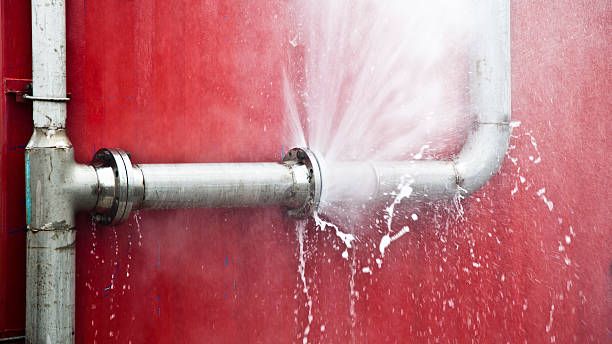 Best Local water damage restoration  in Irwin, SC